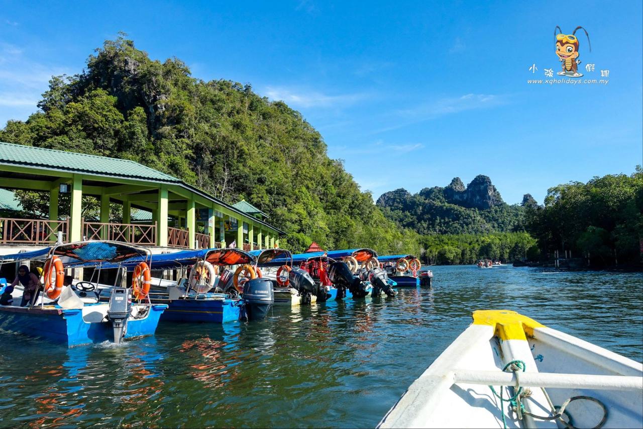 Jelajahi Hutan Mangrove Langkawi yang Menawan